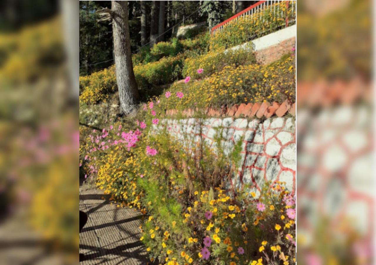 Hotel Country Resort Khajjiar Exterior photo